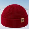 Winter/ Autumn Beanies